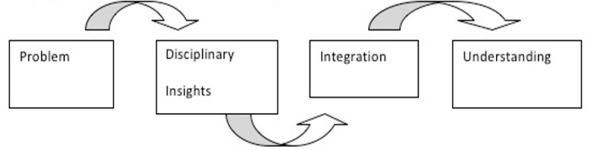Diagram of Repko, A., and Welch, J. (2005) Interdisciplinary practice : a student guide to research and writing. Boston: Pearson.